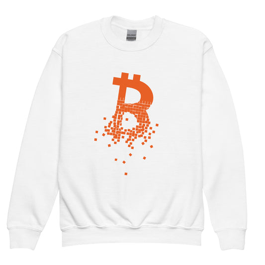 Bitcoin Youth crewneck sweatshirt